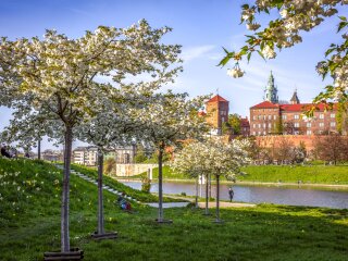 Wiosna, Wawel, Wisła_M6B7285-fot. Ela Marchewka.jpg
