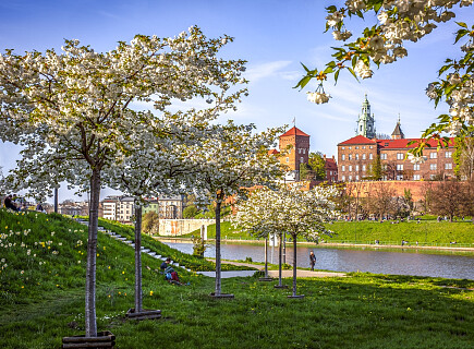 Wiosna, Wawel, Wisła_M6B7285-fot. Ela Marchewka.jpg