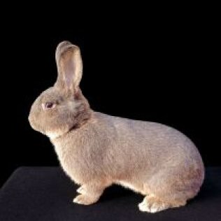 IMG-20251205-WA0075 (1).jpg